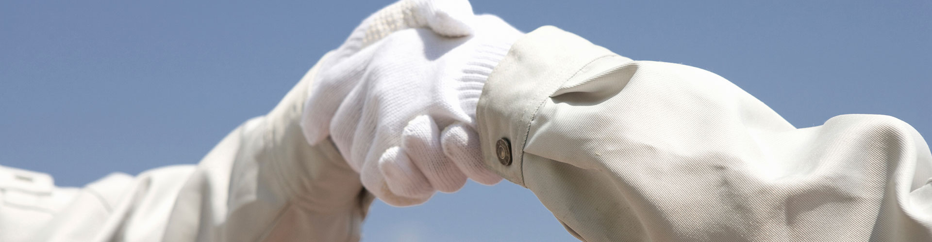 新人インタビュー